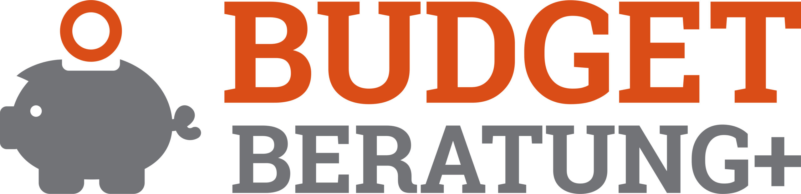 Budgetberatung